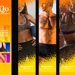 DanQo Fit Fitness Complete 12 Week Program